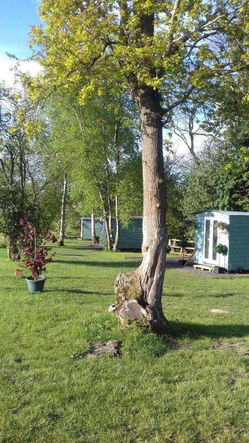 Hopgarden Glamping Luxury Shepherds Huts Wadhurst Eksteriør billede