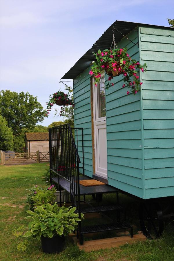 Hopgarden Glamping Luxury Shepherds Huts Wadhurst Eksteriør billede