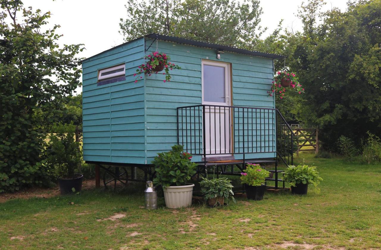 Hopgarden Glamping Luxury Shepherds Huts Wadhurst Eksteriør billede