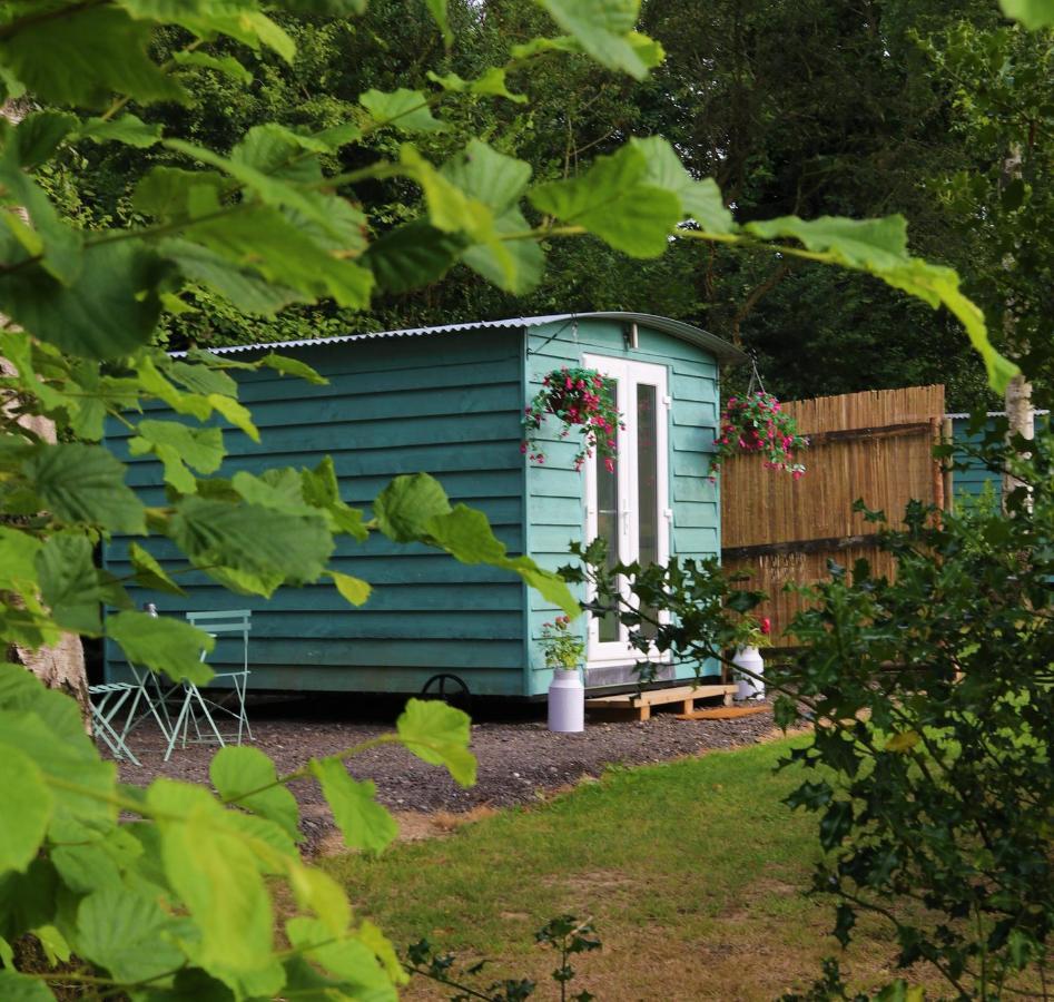 Hopgarden Glamping Luxury Shepherds Huts Wadhurst Eksteriør billede