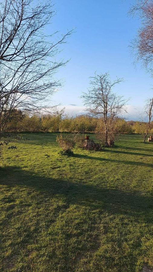 Hopgarden Glamping Luxury Shepherds Huts Wadhurst Eksteriør billede