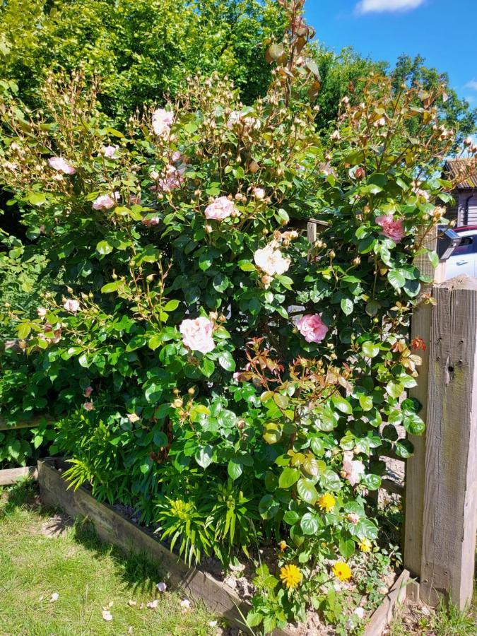 Hopgarden Glamping Luxury Shepherds Huts Wadhurst Eksteriør billede