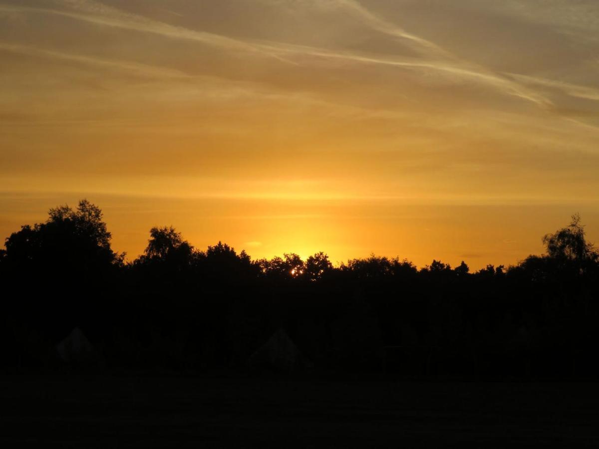 Hopgarden Glamping Luxury Shepherds Huts Wadhurst Eksteriør billede